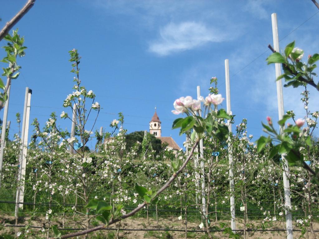 Hotel Haselried Тироло Екстериор снимка